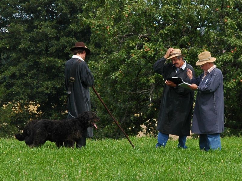 Michael Schlamp und seine Hunde nach seinem Hütedurchgang bei den beiden Richtern | Foto: SV Loßburg