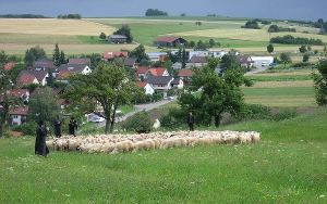 Idylle beim Wettbewerb | Foto: Susanne Lorch