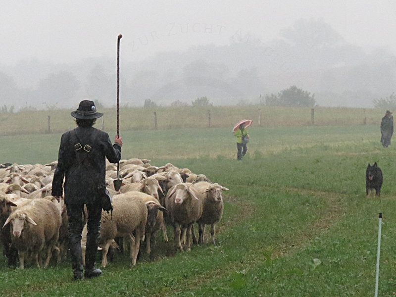 Auch bei wirklich schlechtem Wetter hochkonzentriert